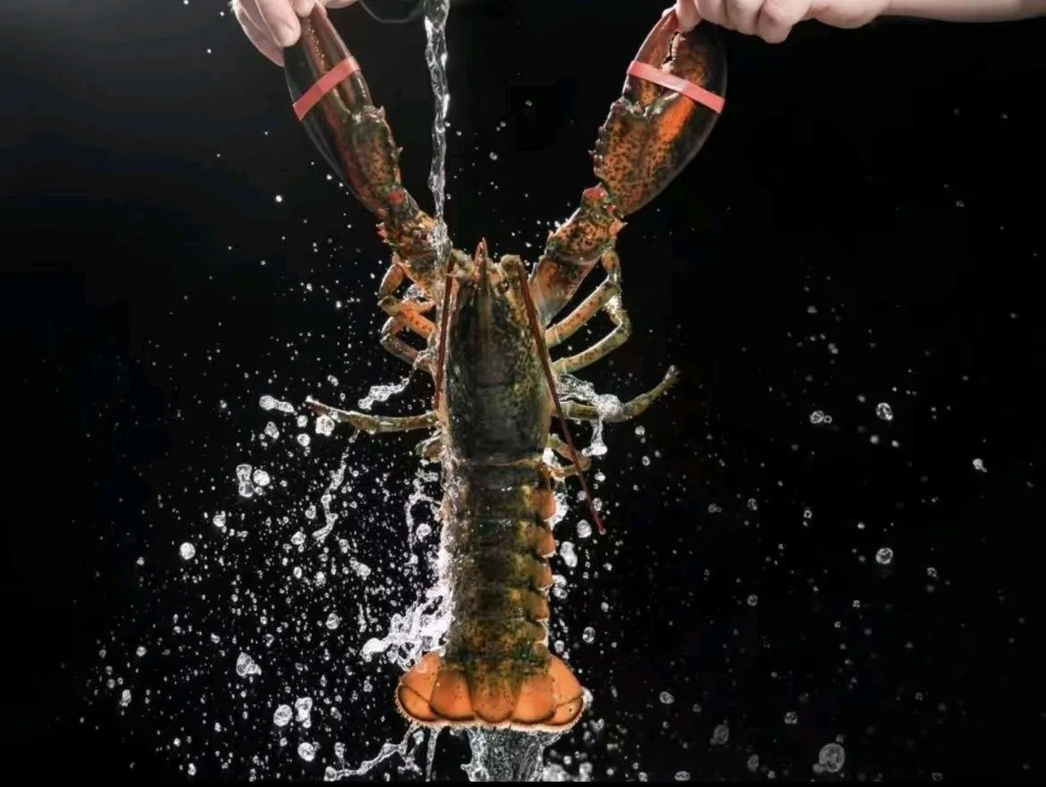 江门海鲜